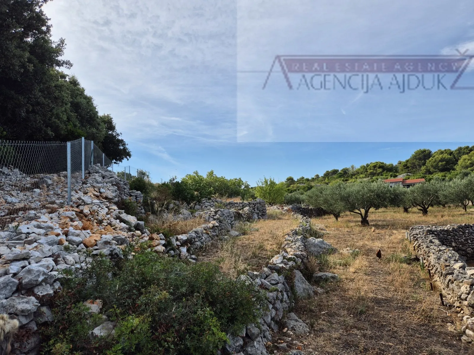 otok vis rogačić kuća u izgradnji + zemljište 5100 m2 - slika 15