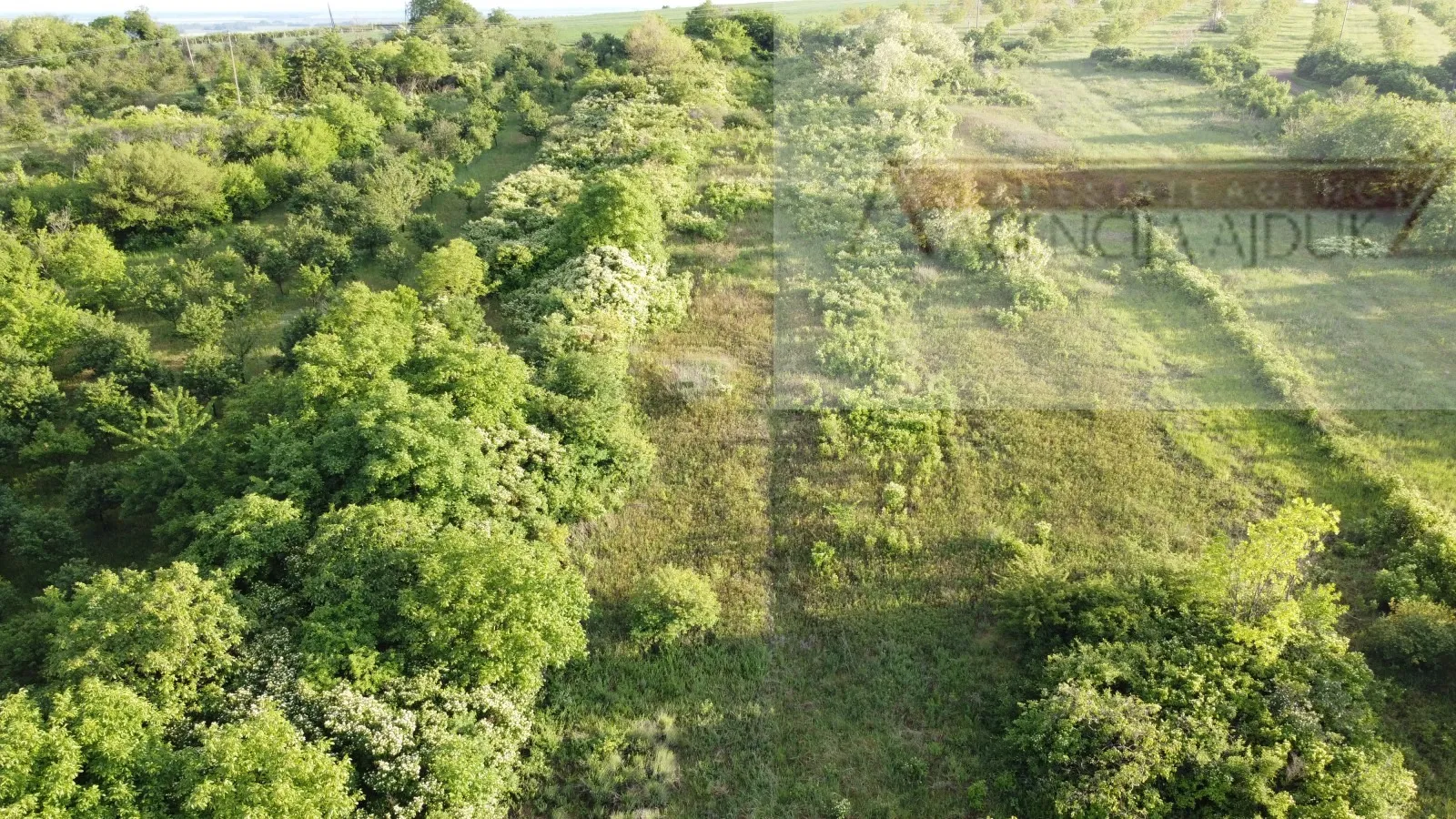 baranja draž planina vikendica 100 m2 na parceli od 6400 m2 - slika 4