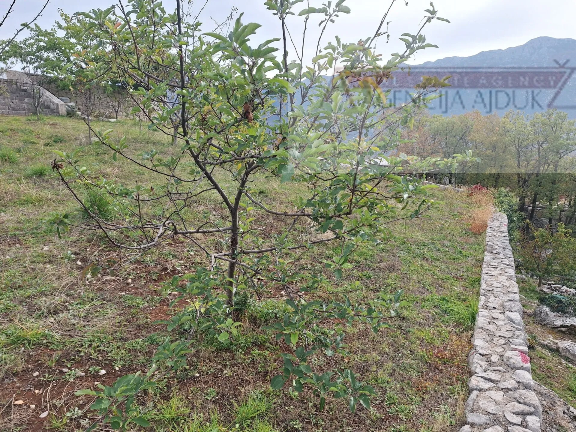 imotski - zagvozd vrhunsko građevinsko zemljište - slika 17