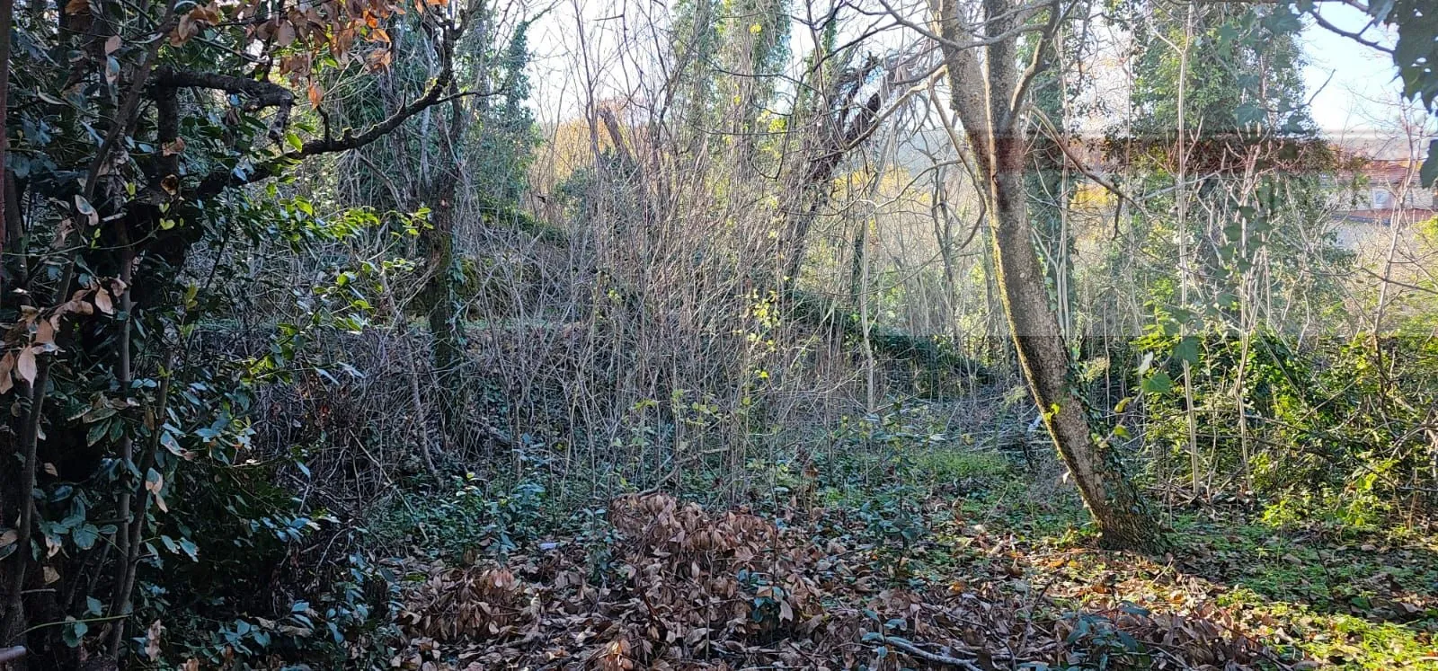 imotski runović obiteljska kuće 230 m2 + okućnica - slika 12
