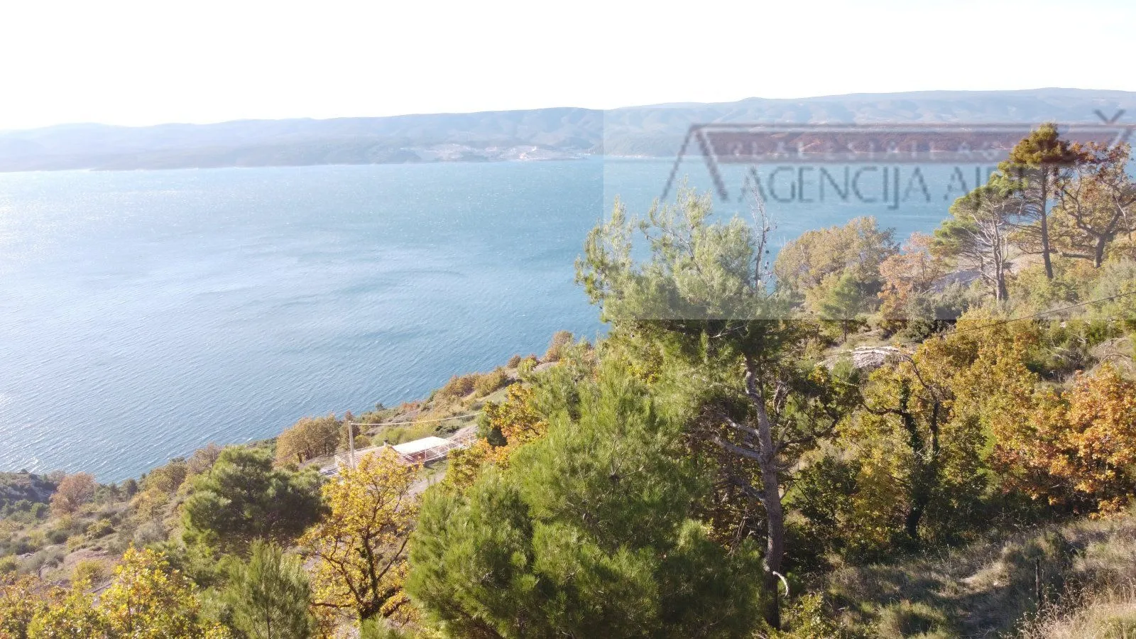 omiš stanići 3800 m2 građevinsko zemljište top loakcija - slika 4