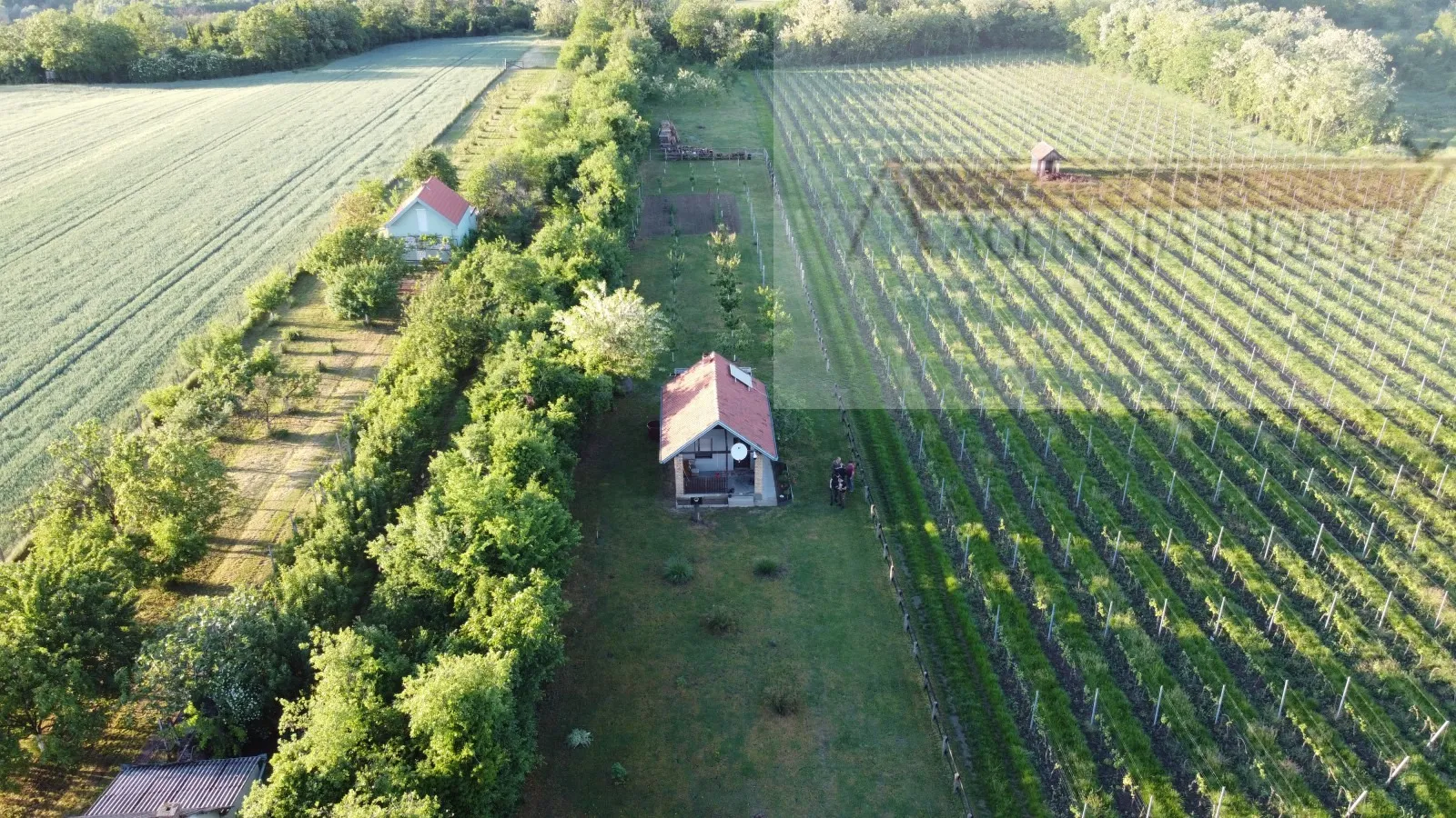 draž planina vikendica 48 m2 na parceli od 3474 m2 - slika 14