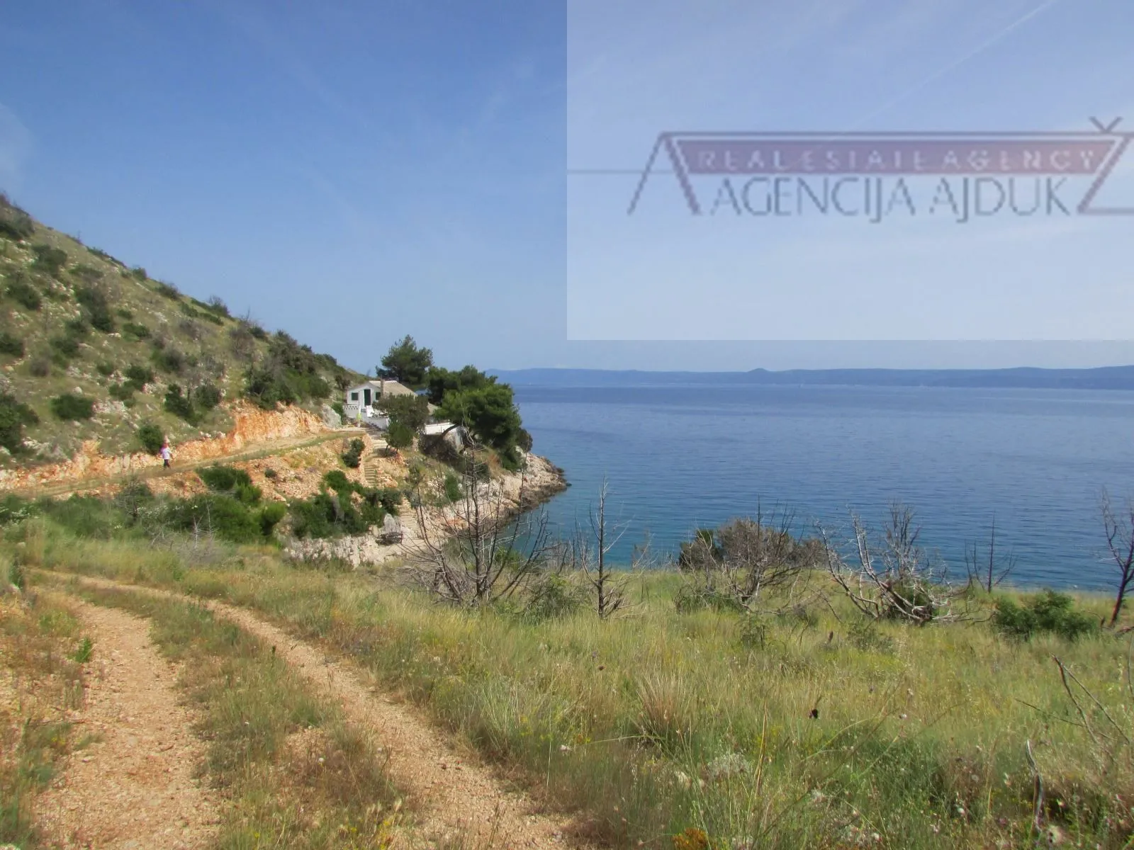 brač bol, zemljište 12459 m2 prvi red do mora - slika 3