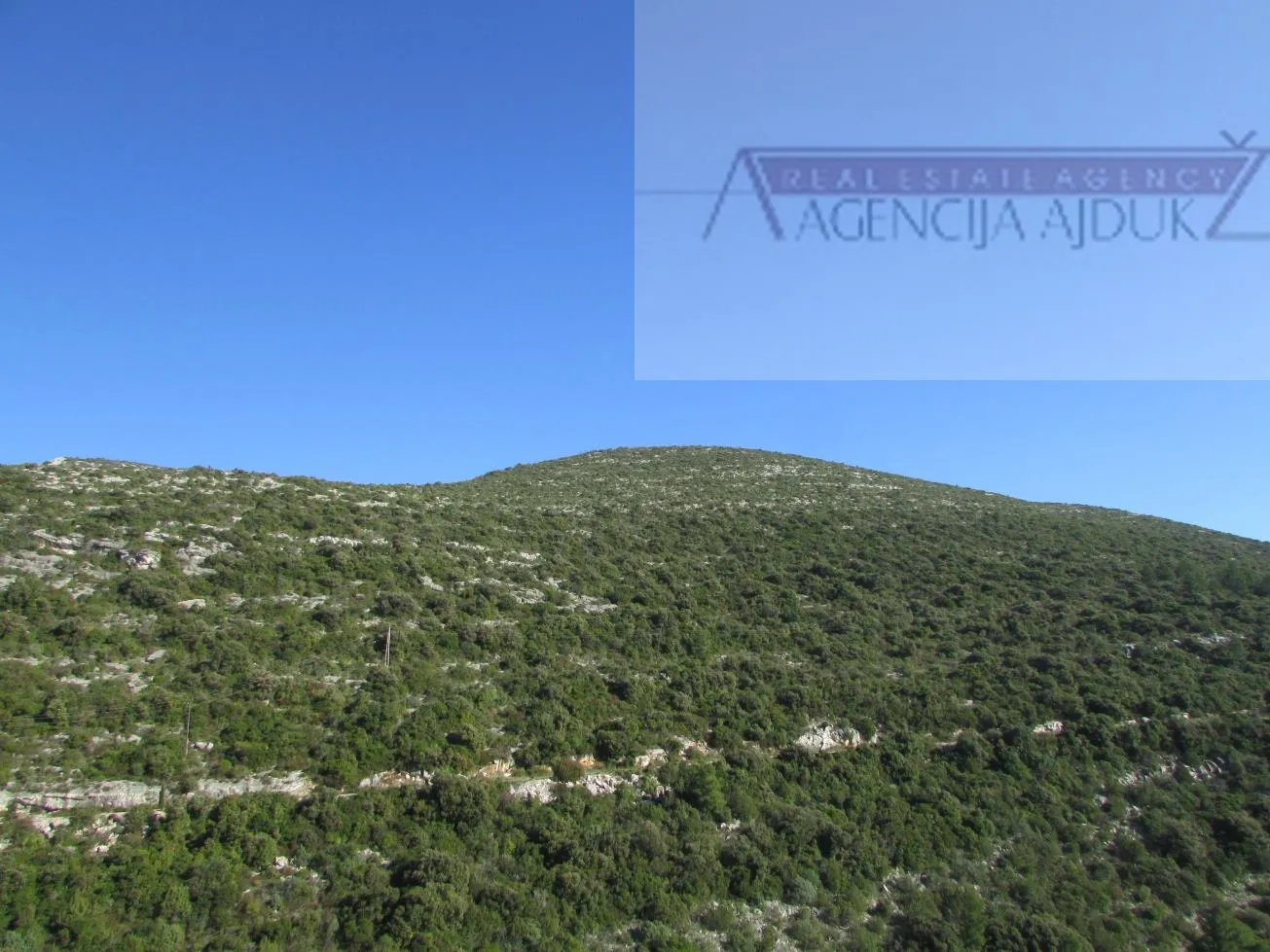pelješac, orebić 1219020 m2 tj 120 hektara u komadu! - slika 6