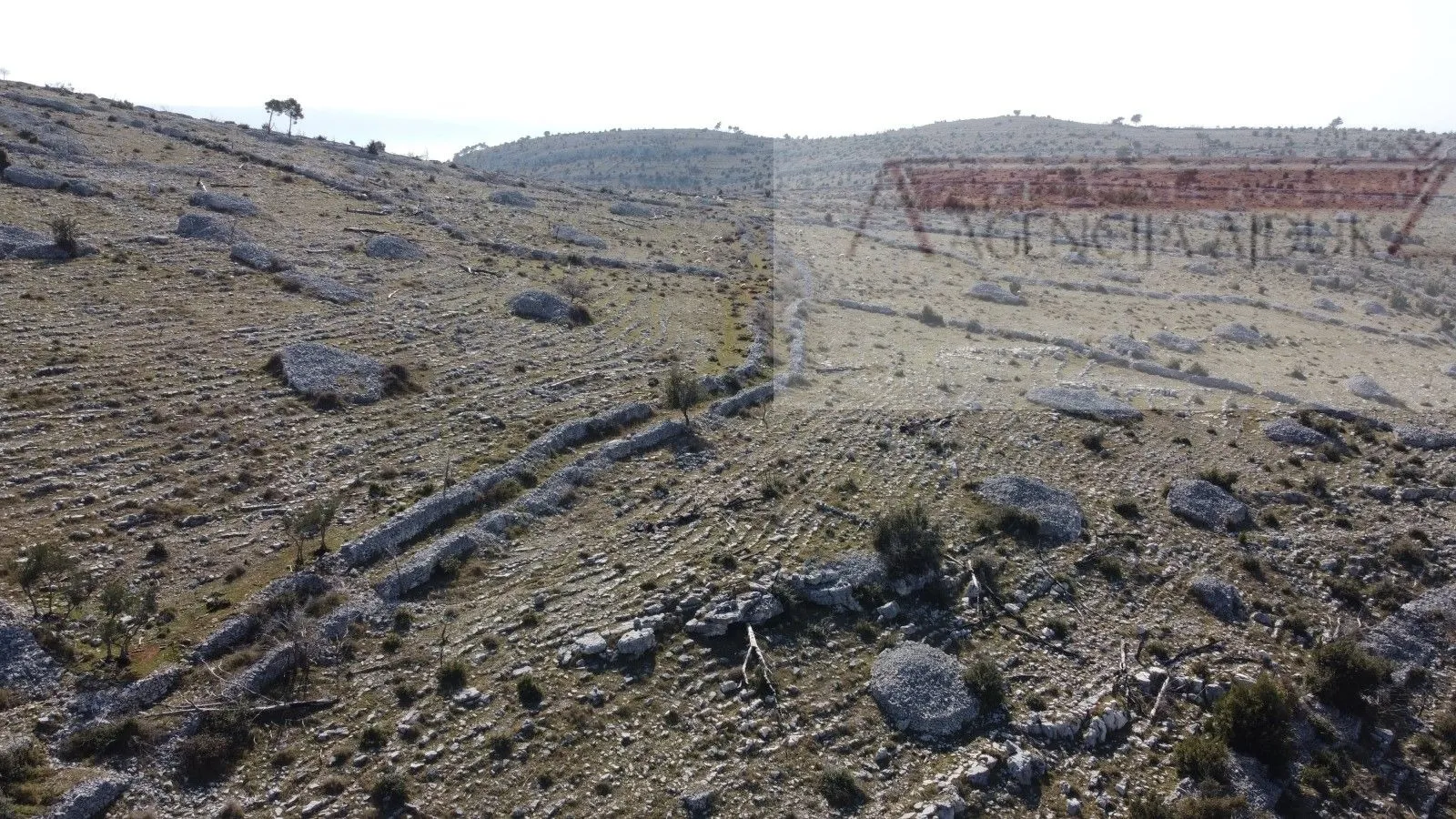 brač nerežišća 88252 m2 južna strana prilika - moguća izgradnja - slika 2