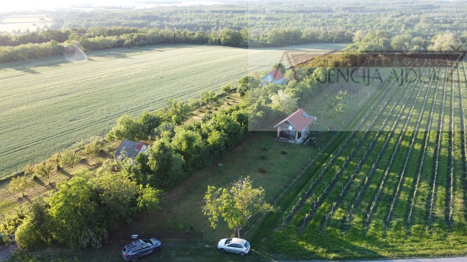 draž planina vikendica 48 m2 na parceli od 3474 m2 - slika 11