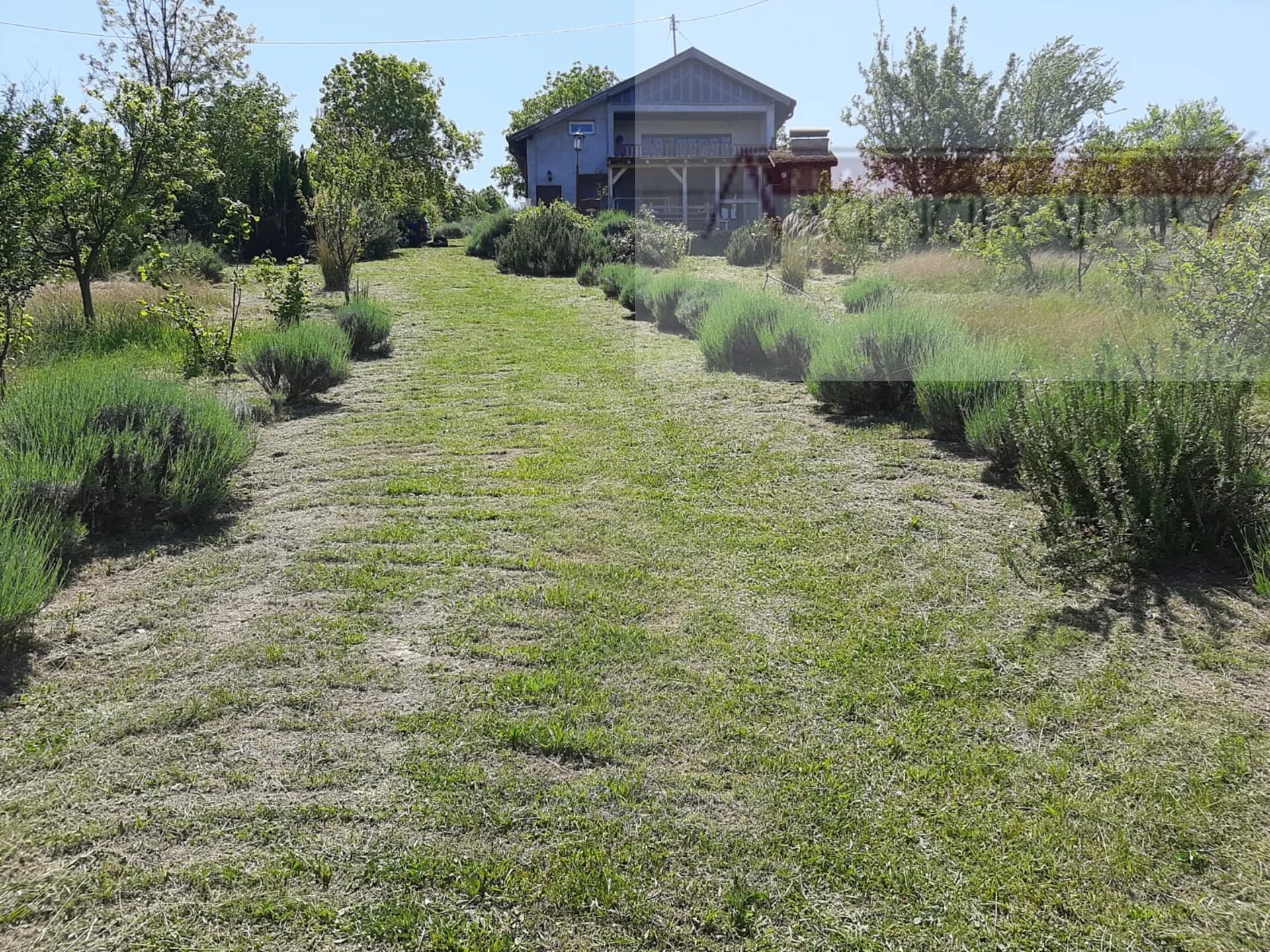 baranja draž planina vikendica 100 m2 na parceli od 6400 m2 - slika 16