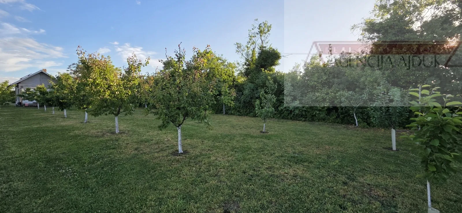 draž planina vikendica 48 m2 na parceli od 3474 m2 - slika 6