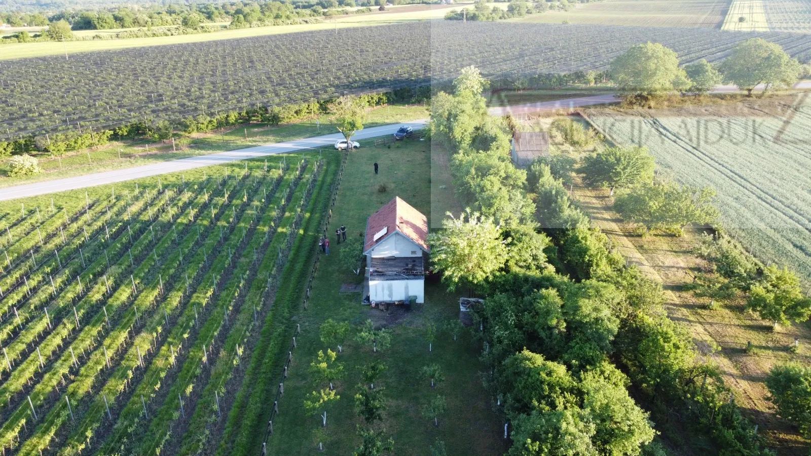 draž planina vikendica 48 m2 na parceli od 3474 m2 - slika 4