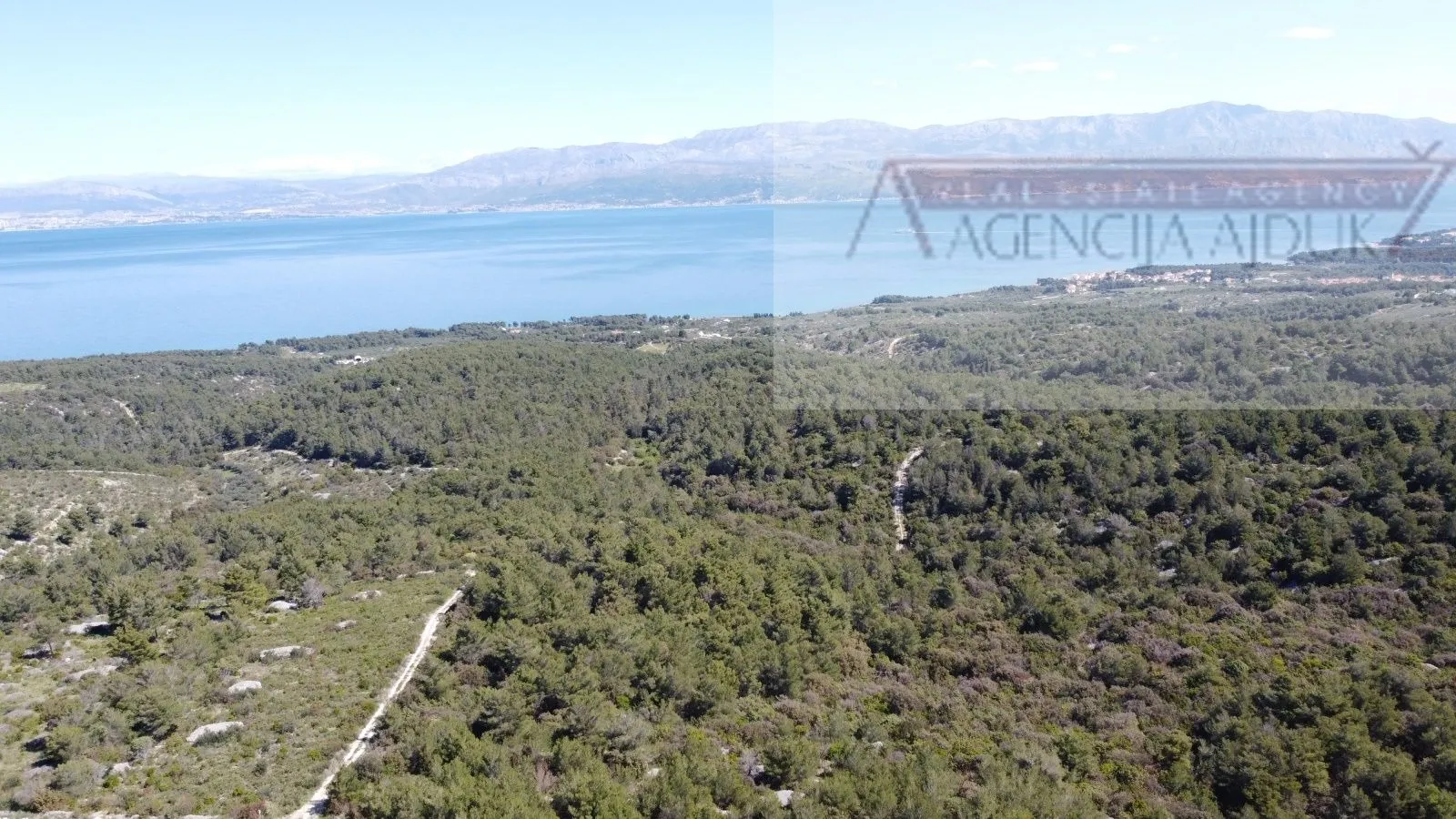 sutivan 14628 m2 poljoprivredno zemljište masline i šipak - top! - slika 9