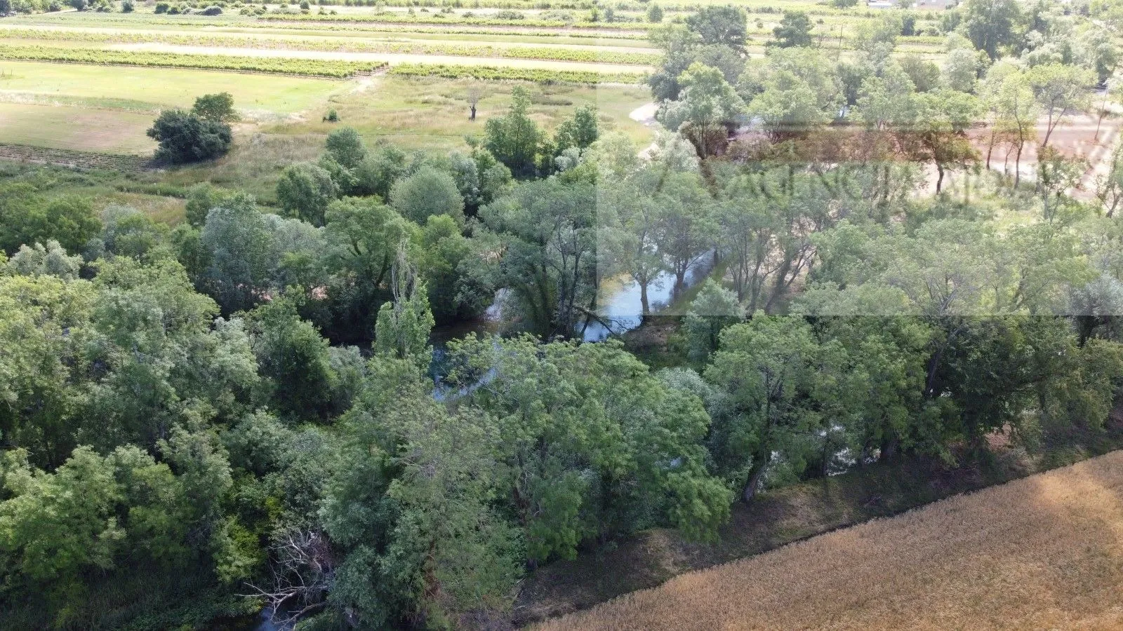 imotski građevinsko zemljište 7000 m2 - akcija - slika 4