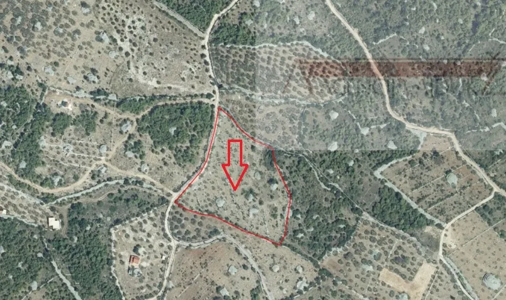 Sutivan Poljoprivredno zemljište 11070 m2 sa 120 maslina - Sutivan, Sutivan