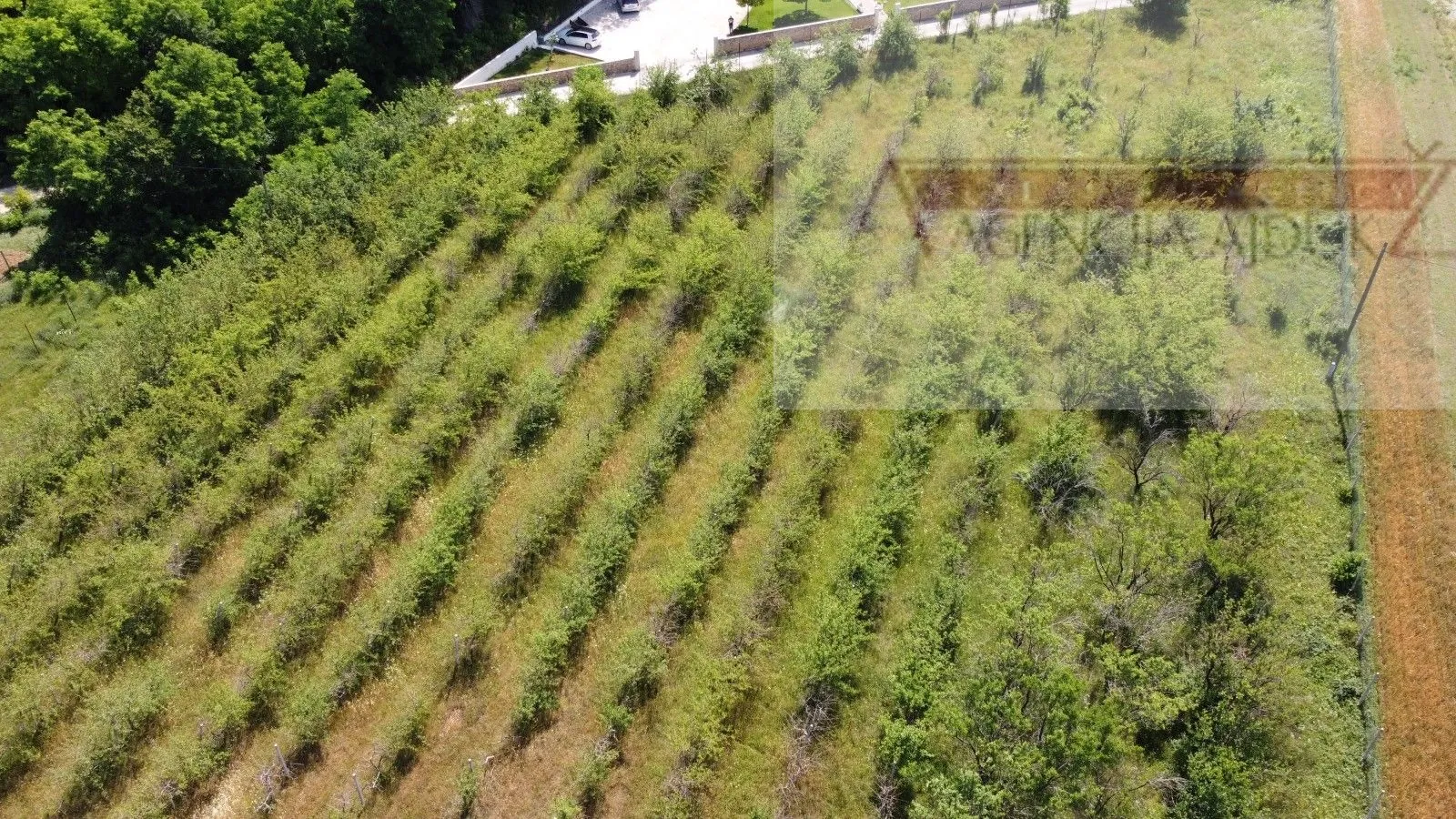 imotski građevinsko zemljište 7000 m2 - akcija - slika 3