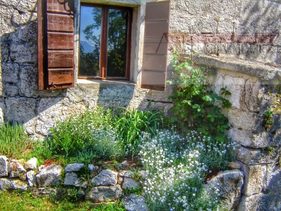 imotski lovreć uređena kamena kuća sa okućnicom - slika 6