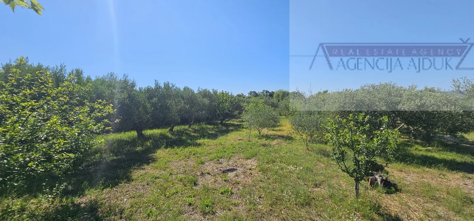 kaštel lukšić kuća 219 m2 + parcela 2993 m2 intimna lokacija - top - slika 6