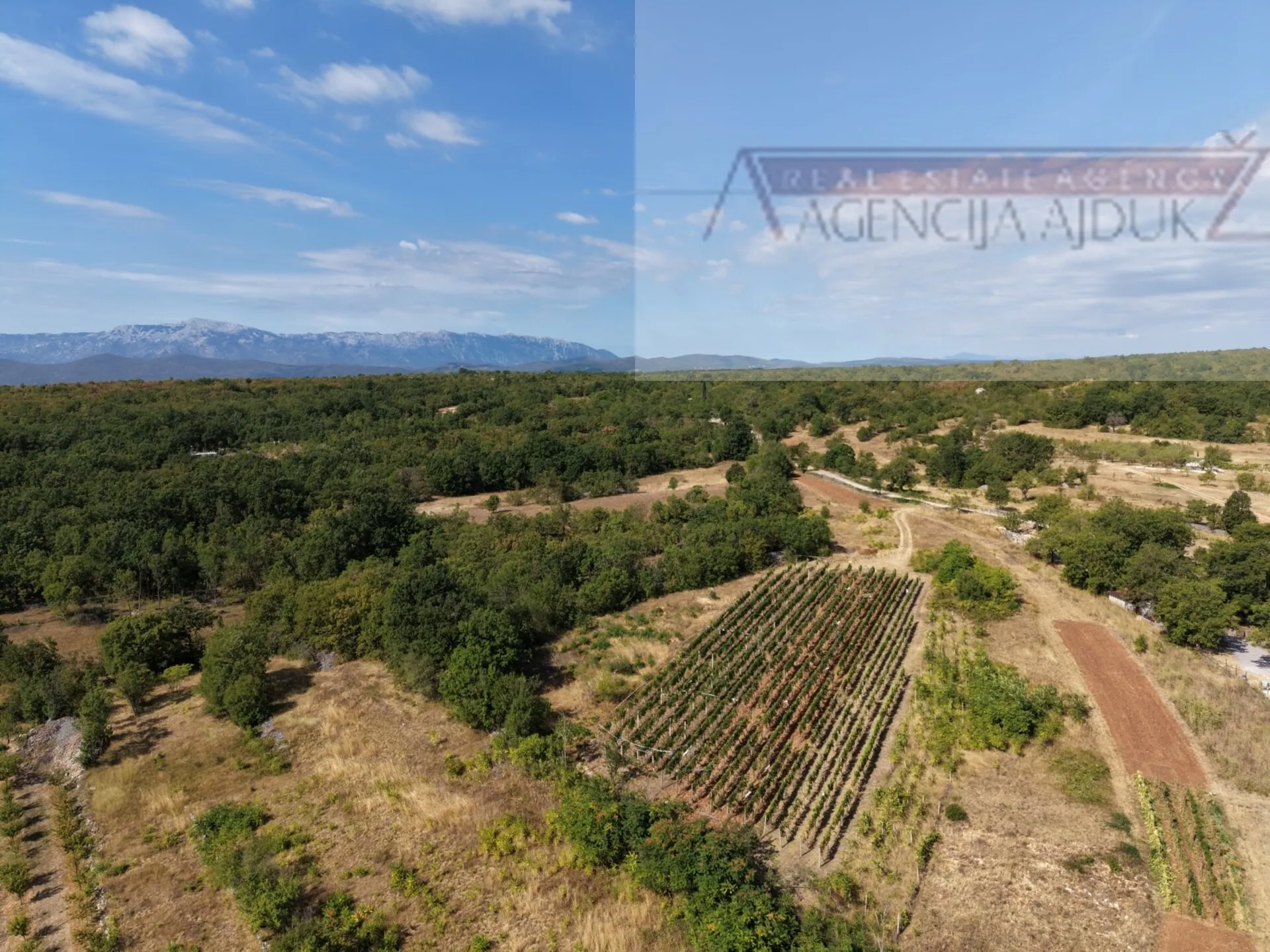 imotski kamena kuća 136 m2 - vinjani gornji - slika 6
