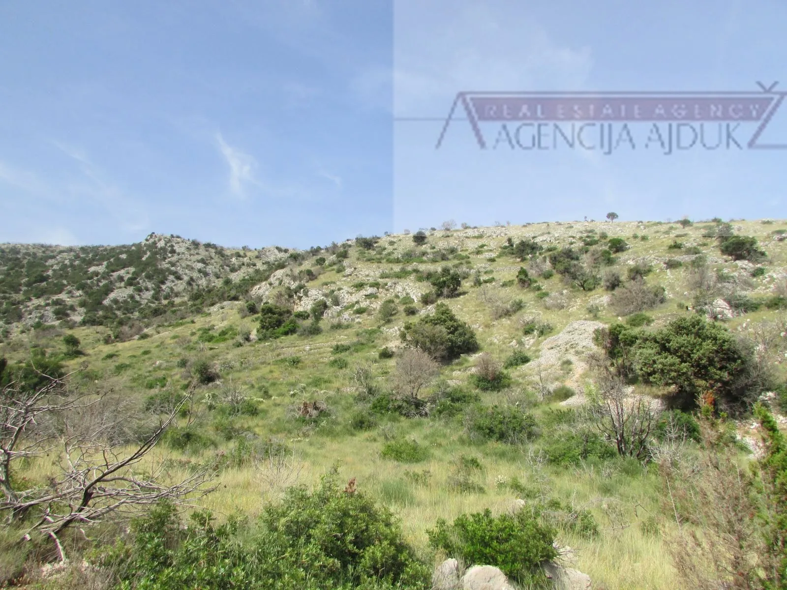 brač bol, zemljište 12459 m2 prvi red do mora - slika 4