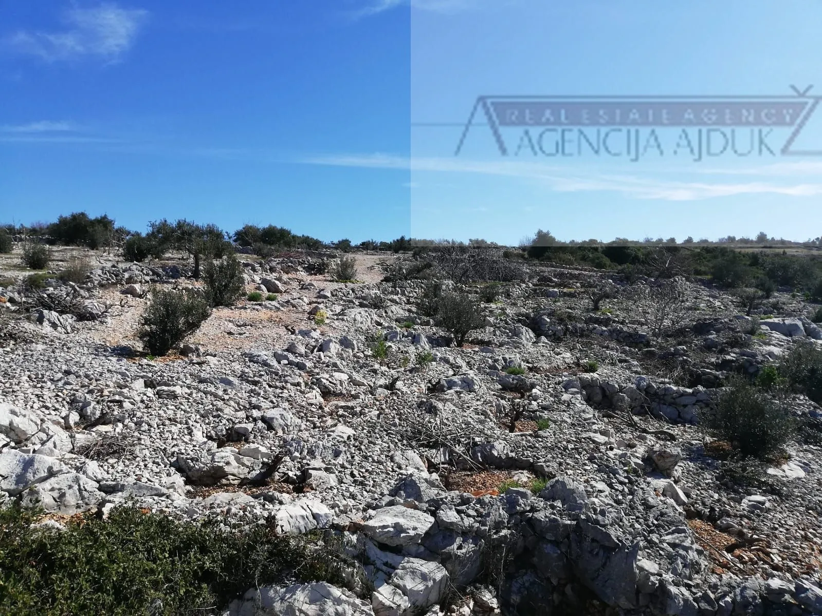šibenik rogoznica 5636 m2 sa kućicom, pogled na more! - slika 5