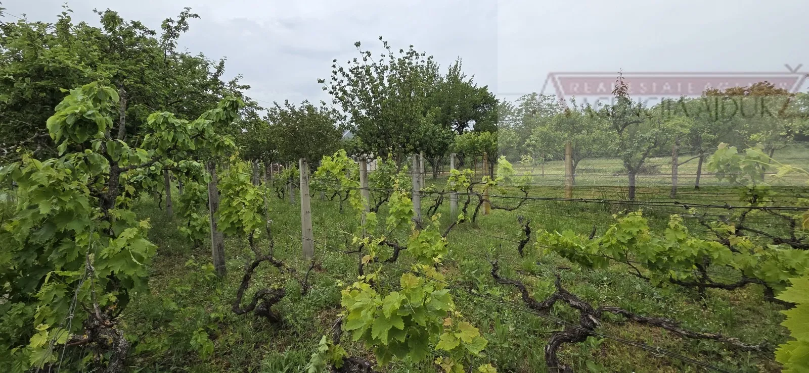 baranja batina vikend kuća 35 m2 legalizirana! - povoljno - slika 6