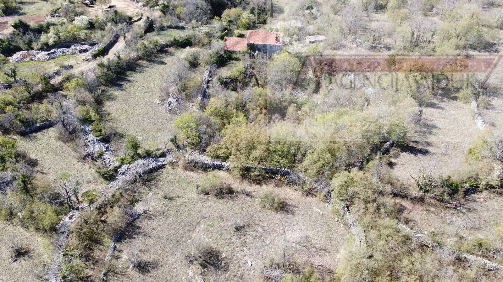 imotski lovreć četiri kamene kuće i velika okućnica 13000 m2 - slika 17
