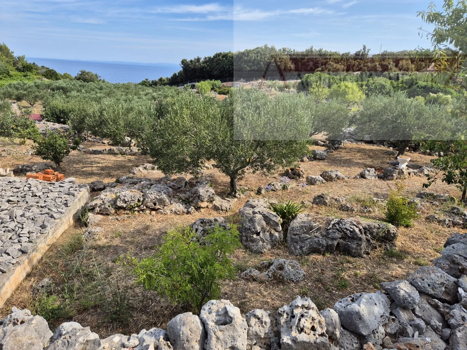otok vis rogačić kuća u izgradnji + zemljište 5100 m2 - slika 4