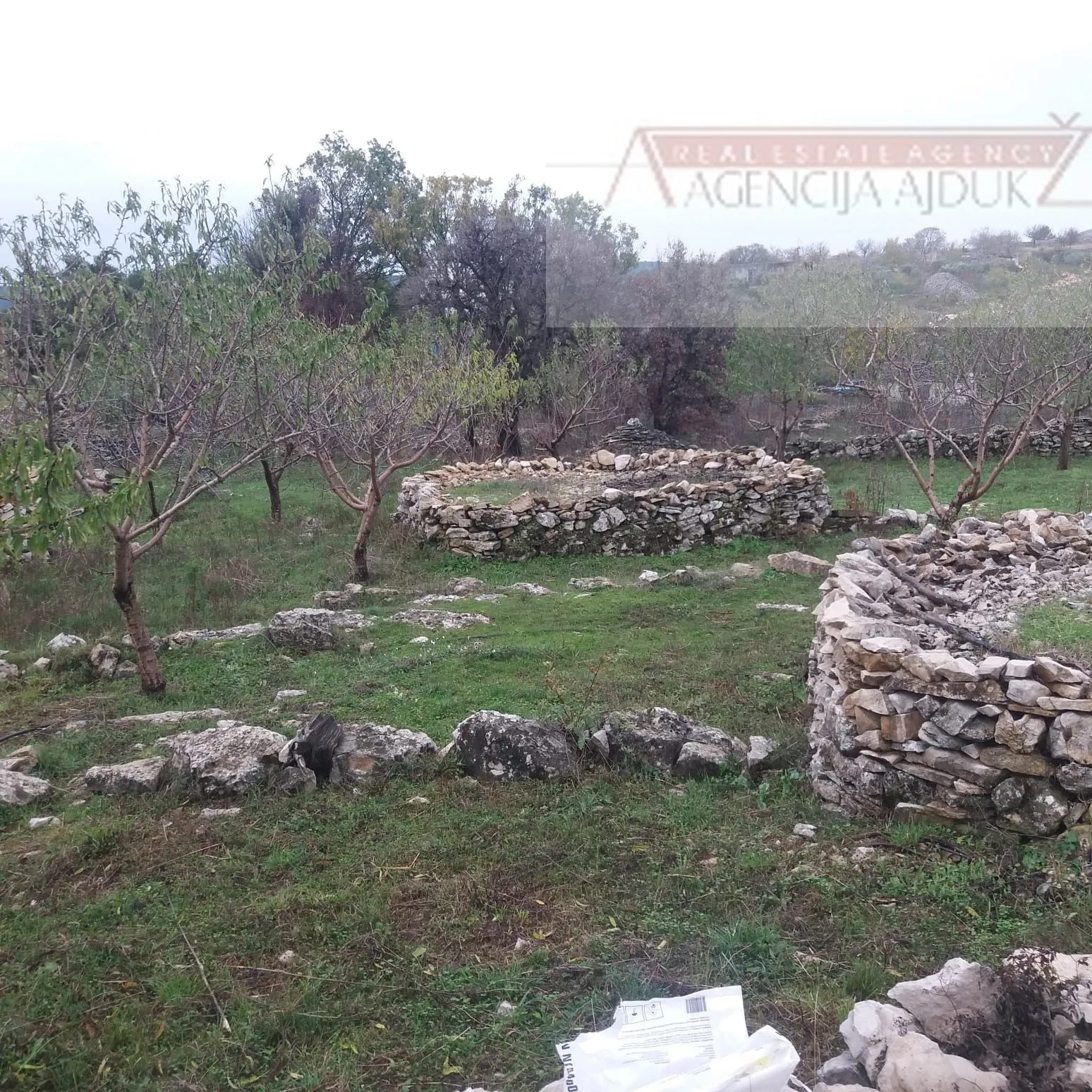 brač donji humac 10630 m2 sa objektom - slika 4