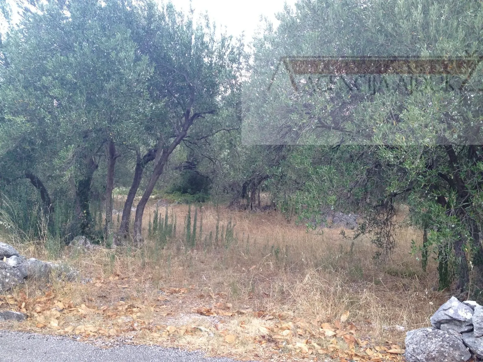 dubrovnik banići građevinsko zemljište 886 m2 - slika 2