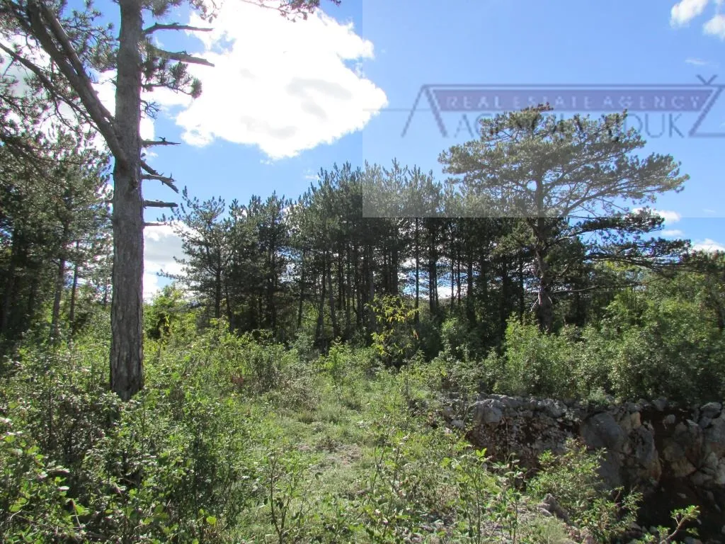 imotski grubine 4553 m2 građevinsko zemljište - intima! - slika 2