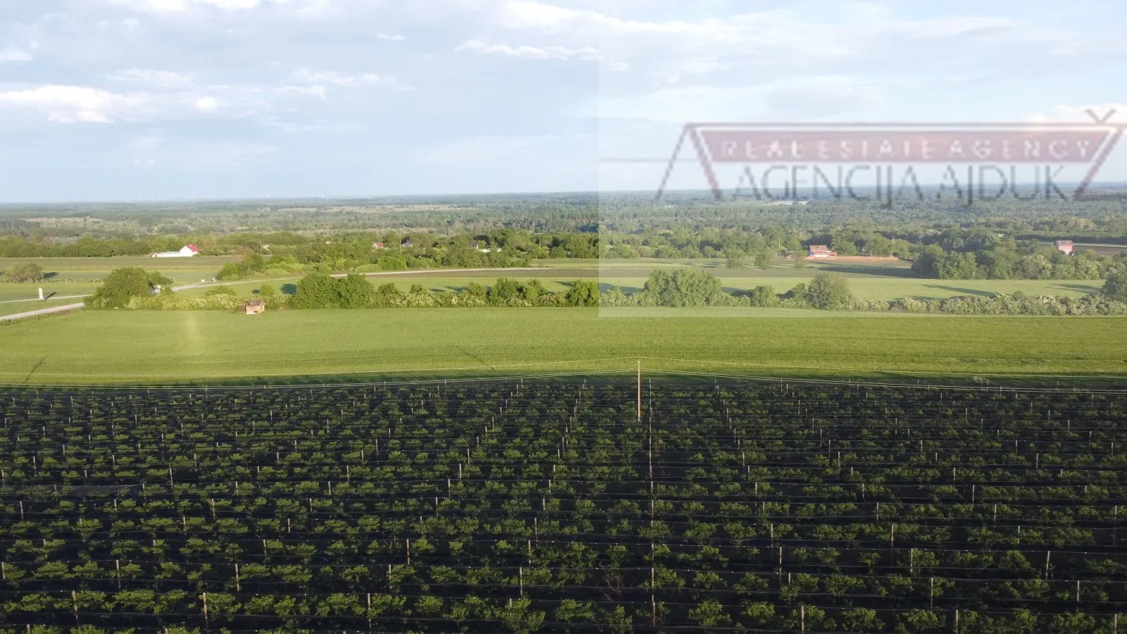 draž planina vikendica 48 m2 na parceli od 3474 m2 - slika 12