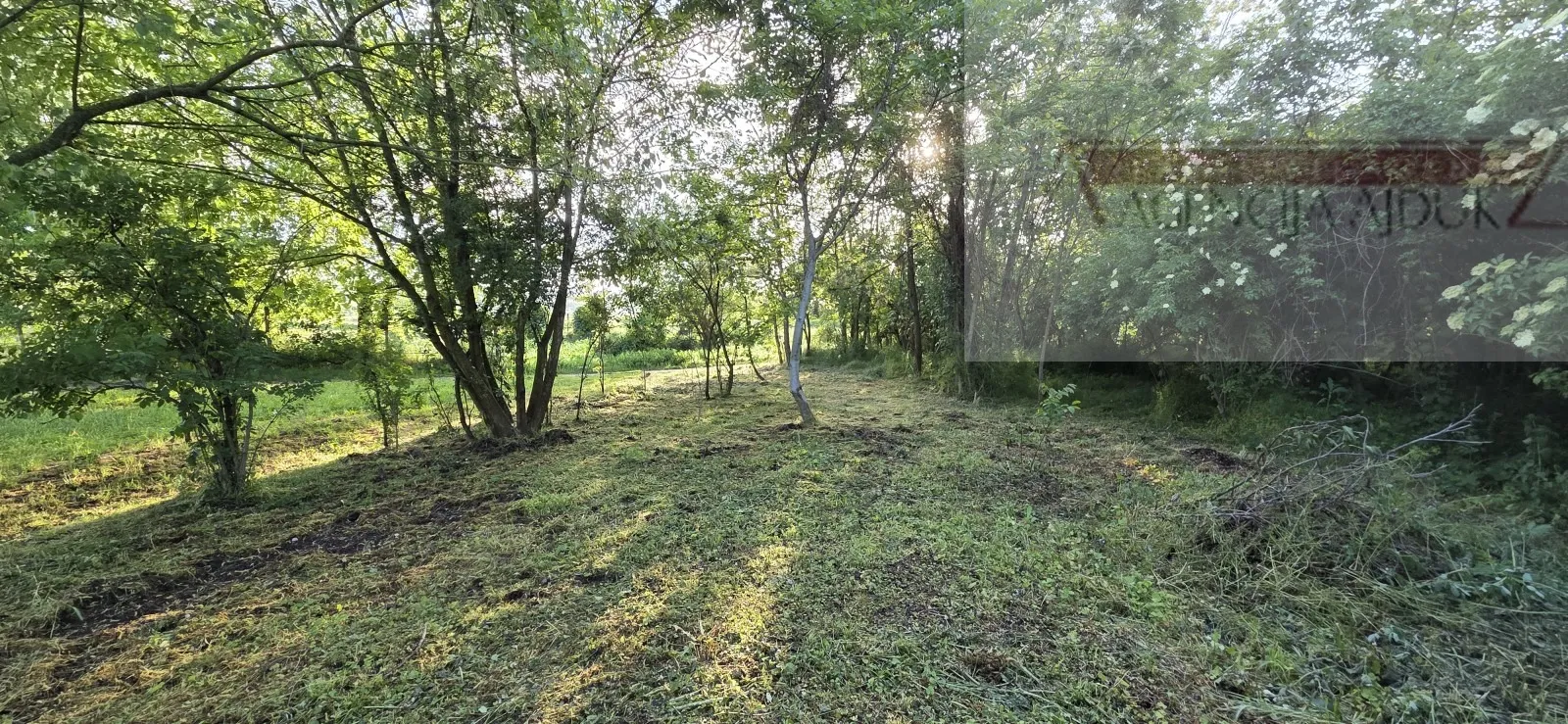 draž podolje planina vikendica 24 m2 - povoljno - slika 8