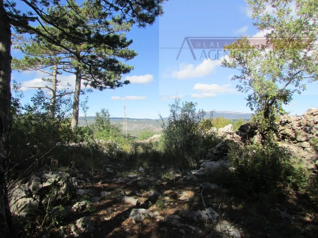 imotski grubine 4553 m2 građevinsko zemljište - intima! - slika 6