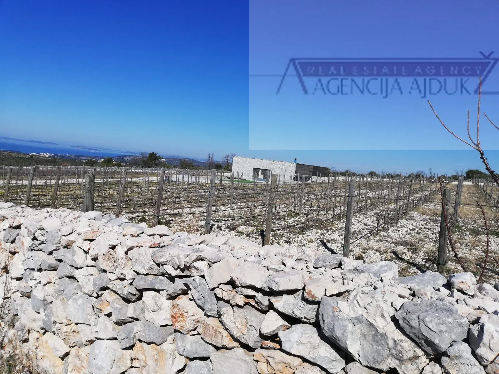 šibenik rogoznica 5636 m2 sa kućicom, pogled na more! - slika 9