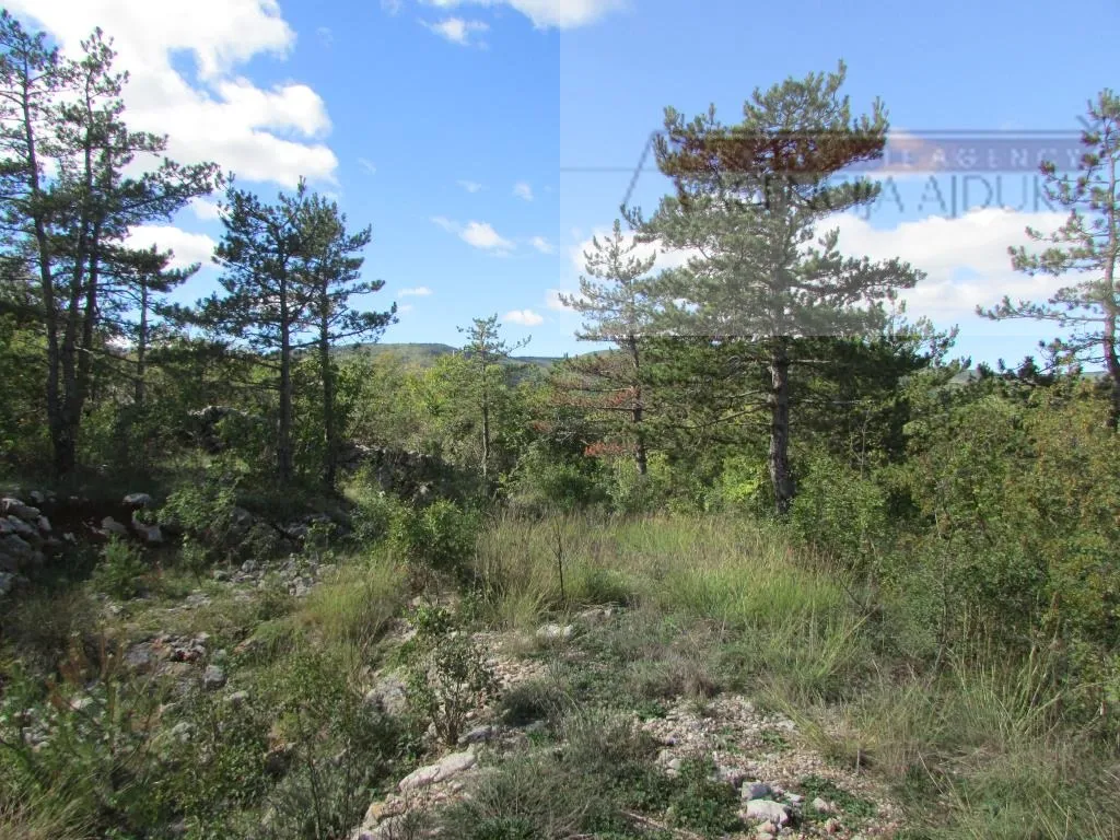 imotski grubine 4553 m2 građevinsko zemljište - intima! - slika 8