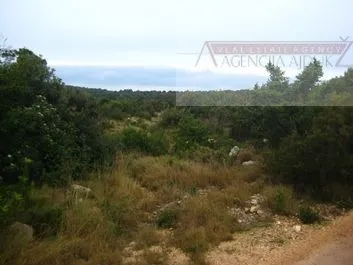 Šolta - Maslenica, poljoprivredno zemljište 26000 m2 - Maslinica, Šolta