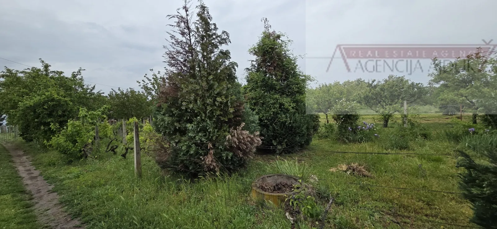 baranja batina vikend kuća 35 m2 legalizirana! - povoljno - slika 5