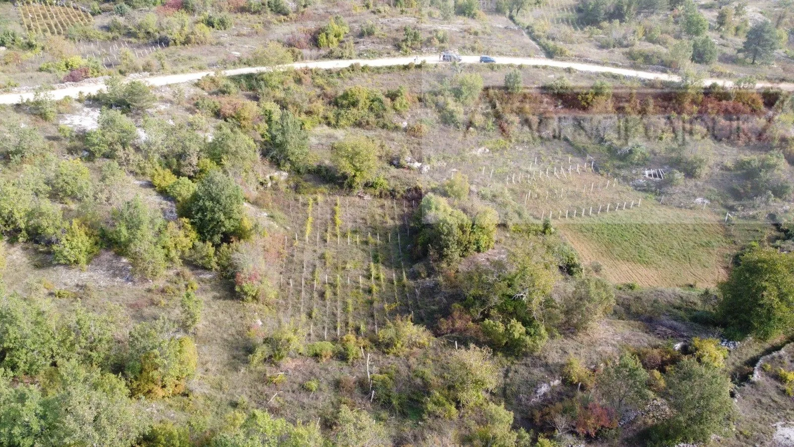 imotski poljica građevinsko zemljište 2100 m2 - novo! - slika 4