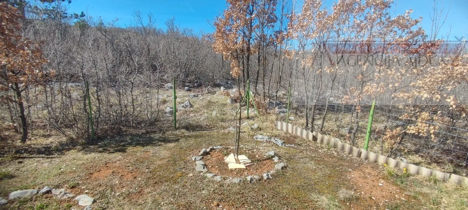 svib jasenak stambeno-poslovni objekt 403 m2 - intima - novo - slika 13