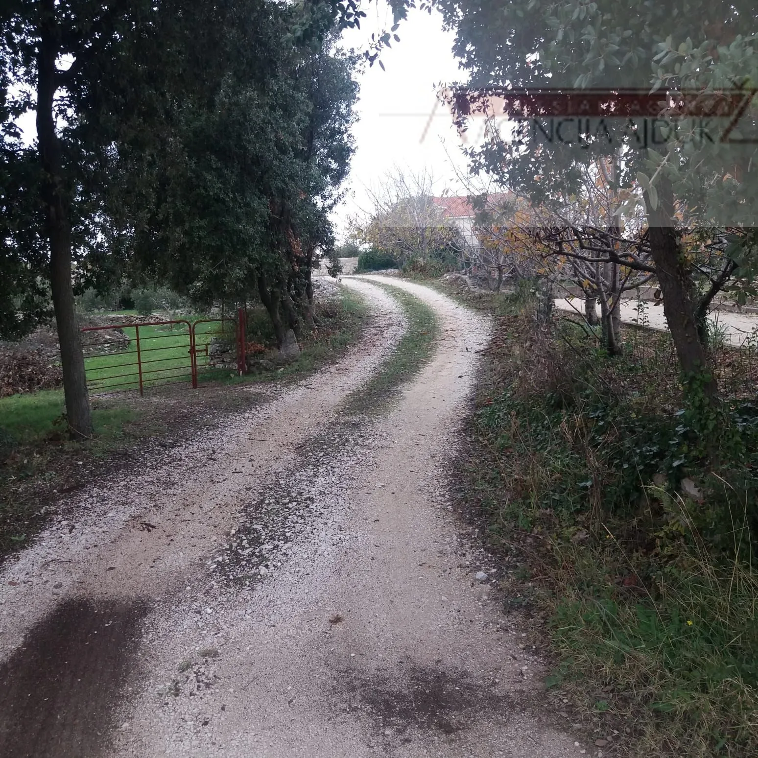 brač donji humac 10630 m2 sa objektom - slika 2