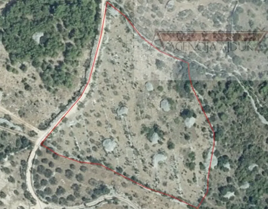 sutivan poljoprivredno zemljište 11070 m2 sa 120 maslina - slika 2