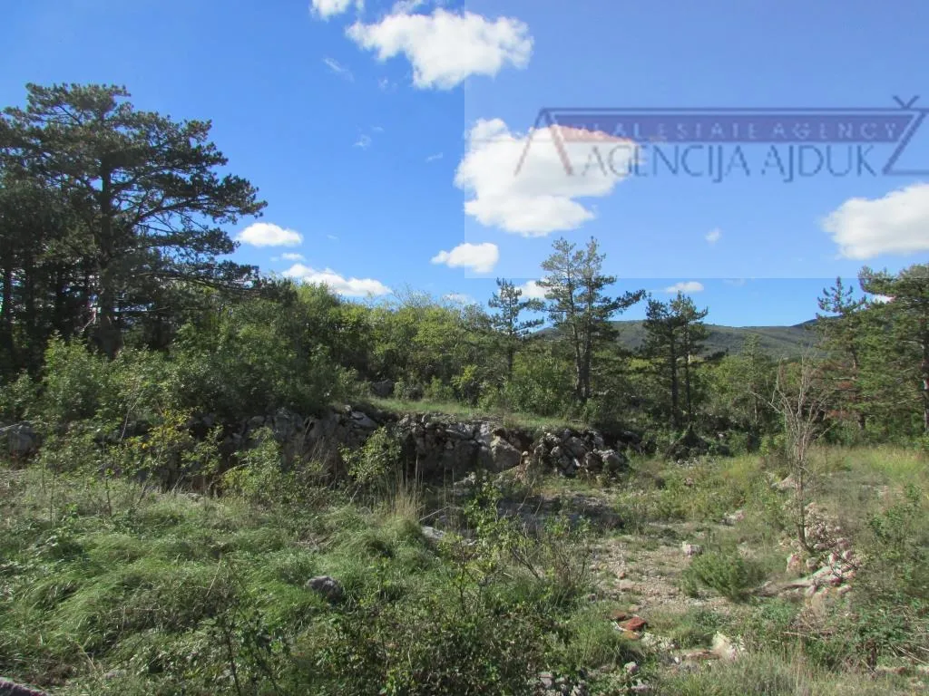 Imotski Grubine 4553 m2 građevinsko zemljište - intima! - Imotski, Imotski