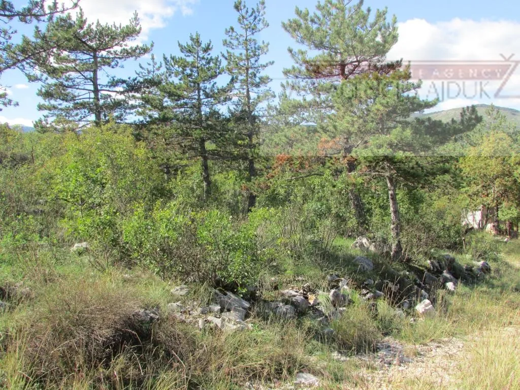 imotski grubine 4553 m2 građevinsko zemljište - intima! - slika 7