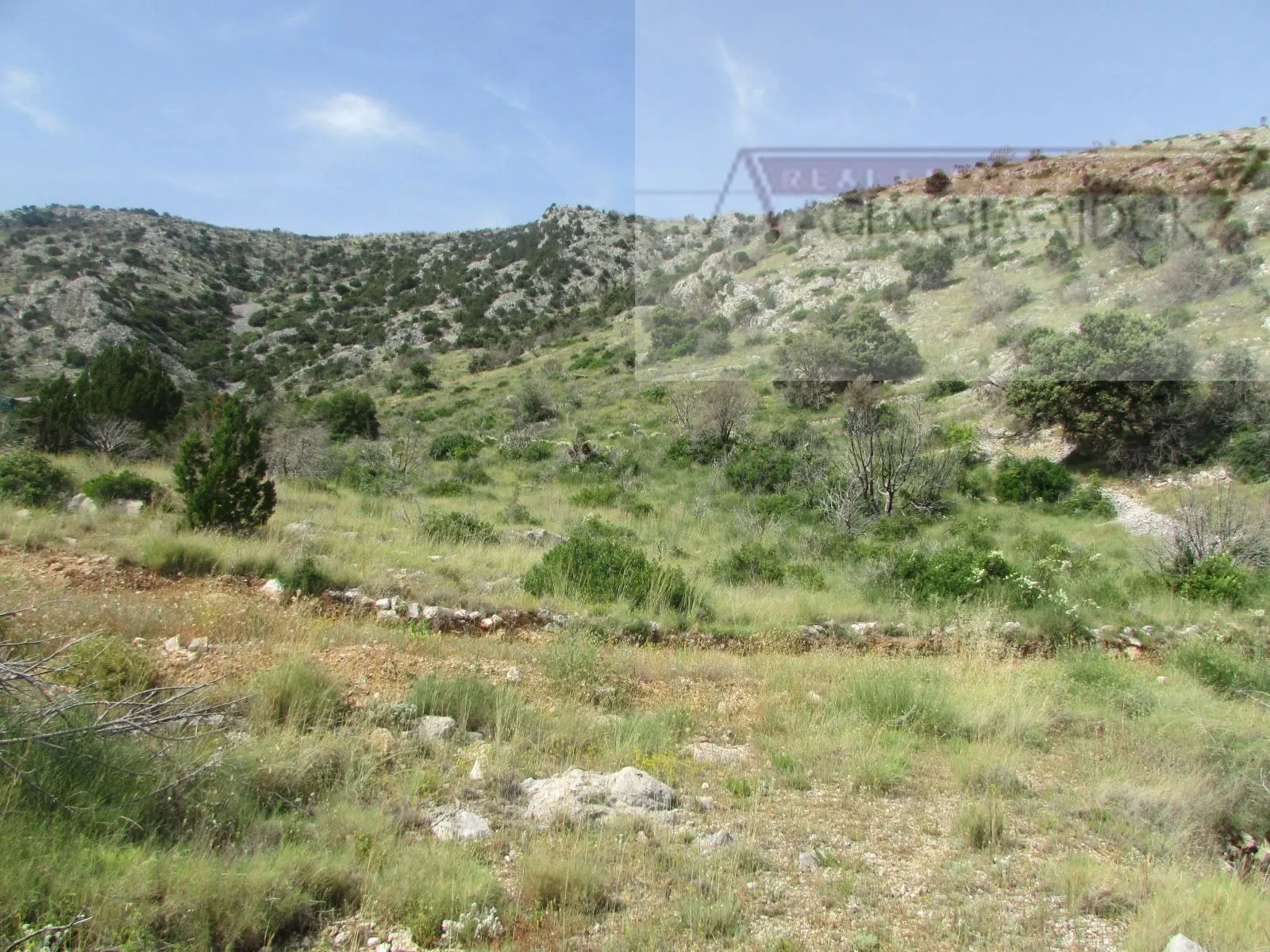 brač bol, zemljište 12459 m2 prvi red do mora - slika 5