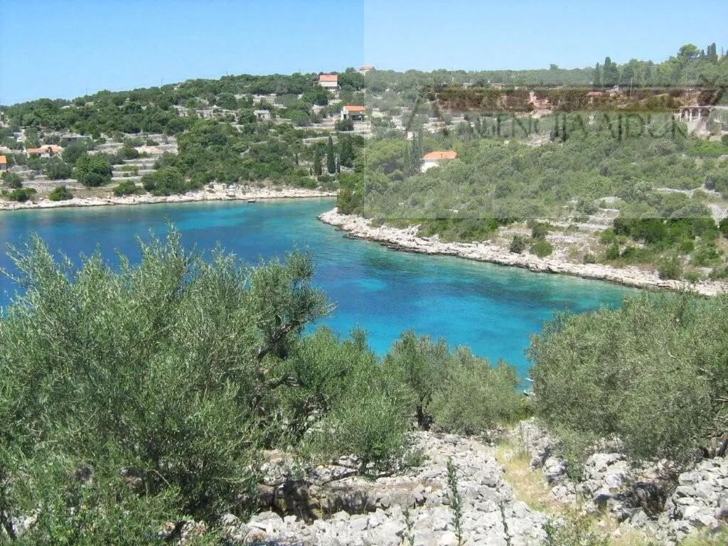 Korčula Vela Luka uvala Stratinčica 5082 m2 za vile - Vela Luka, Vela luka