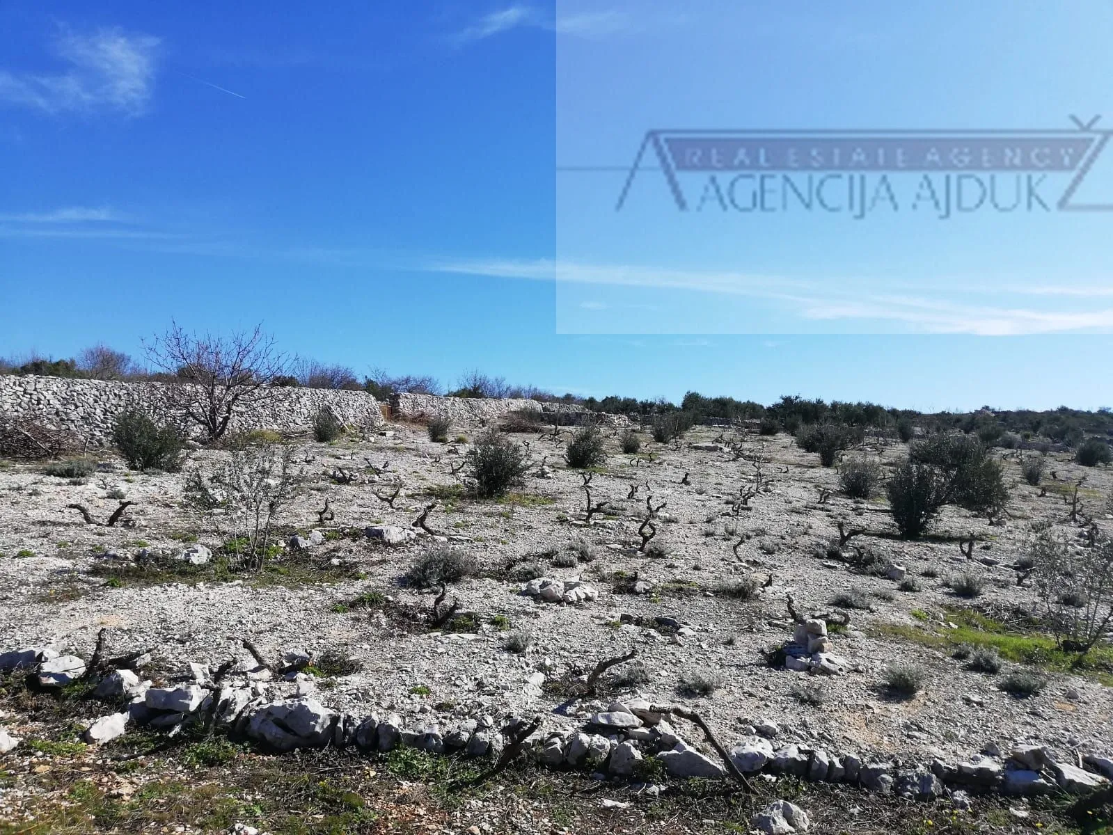 šibenik rogoznica 5636 m2 sa kućicom, pogled na more! - slika 3