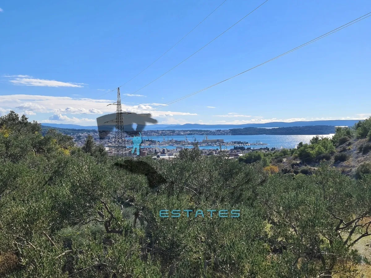 Seget Gornji, izdašna poljoprivredna čestica s maslinikom i pogledom na more, 4840 m2 - Seget Gornji, Seget