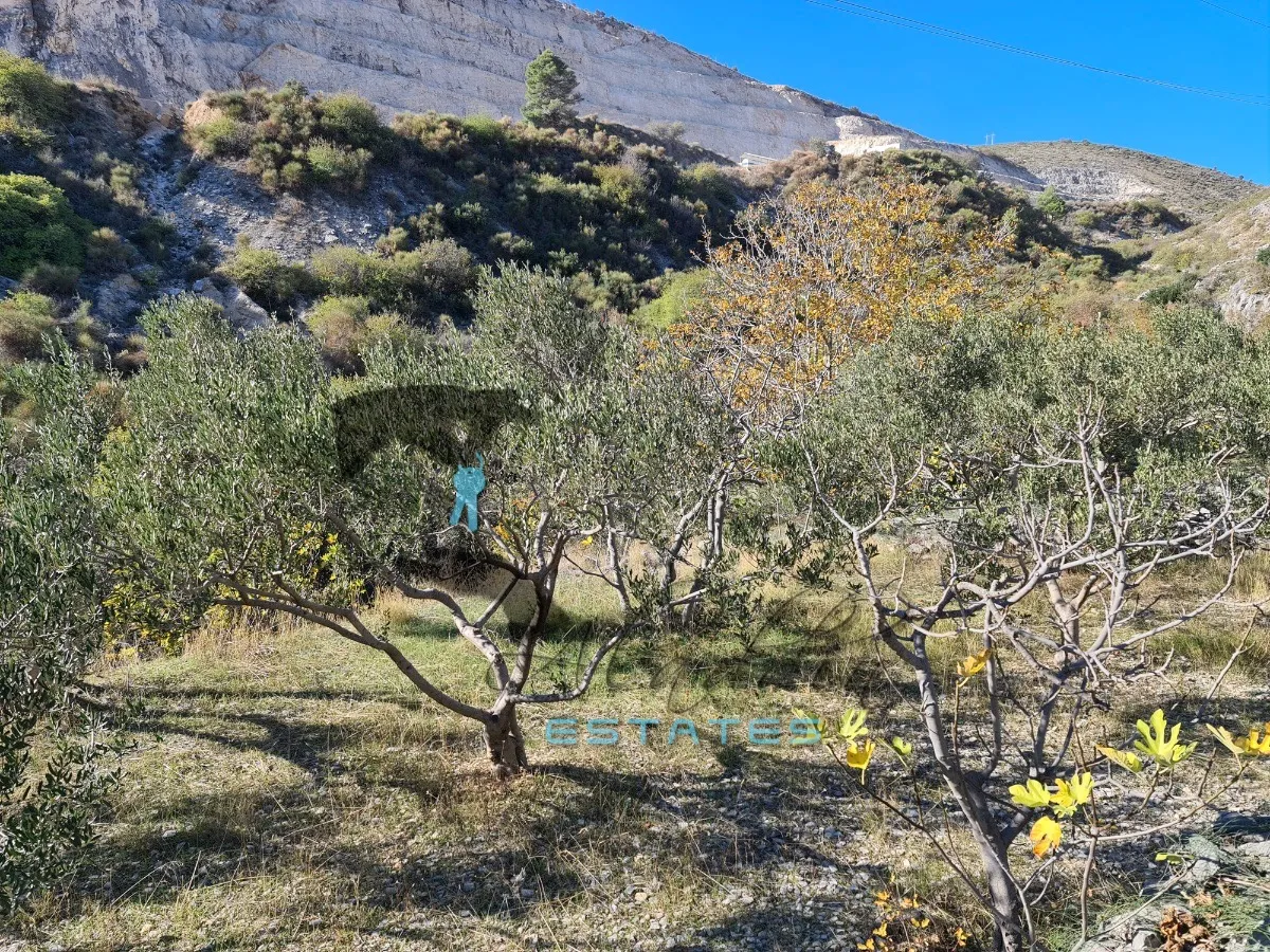 seget gornji, izdašna poljoprivredna čestica s maslinikom i pogledom na more, 4840 m2 - slika 2