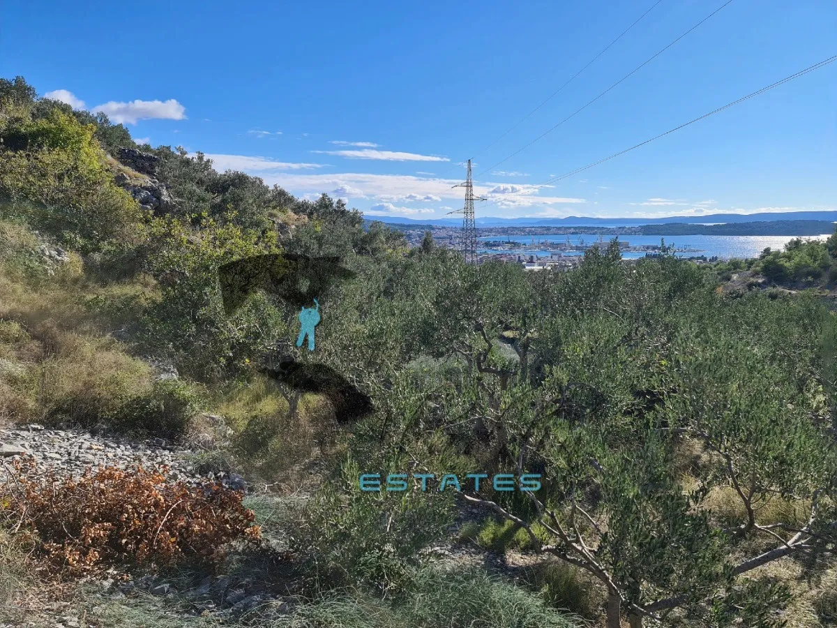 seget gornji, izdašna poljoprivredna čestica s maslinikom i pogledom na more, 4840 m2 - slika 10