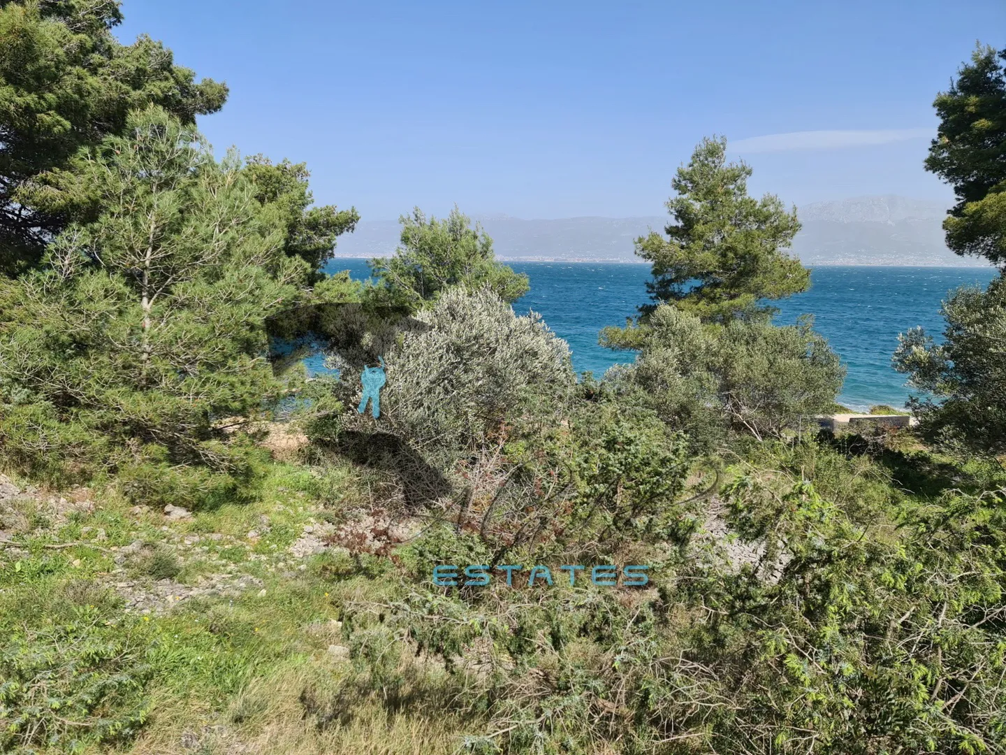 slatine, očaravajuća poljoprivredna čestica, prvi red do mora i plaže, 5.530 m2 - slika 7