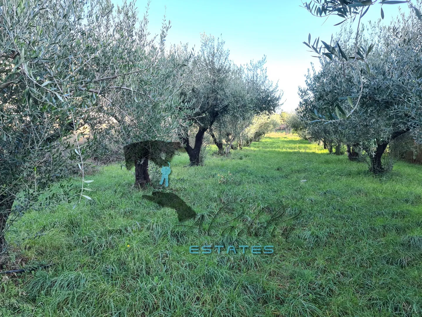 trogir, velika građevinska čestica s idejnim projektom, 1.211 m2 - slika 2