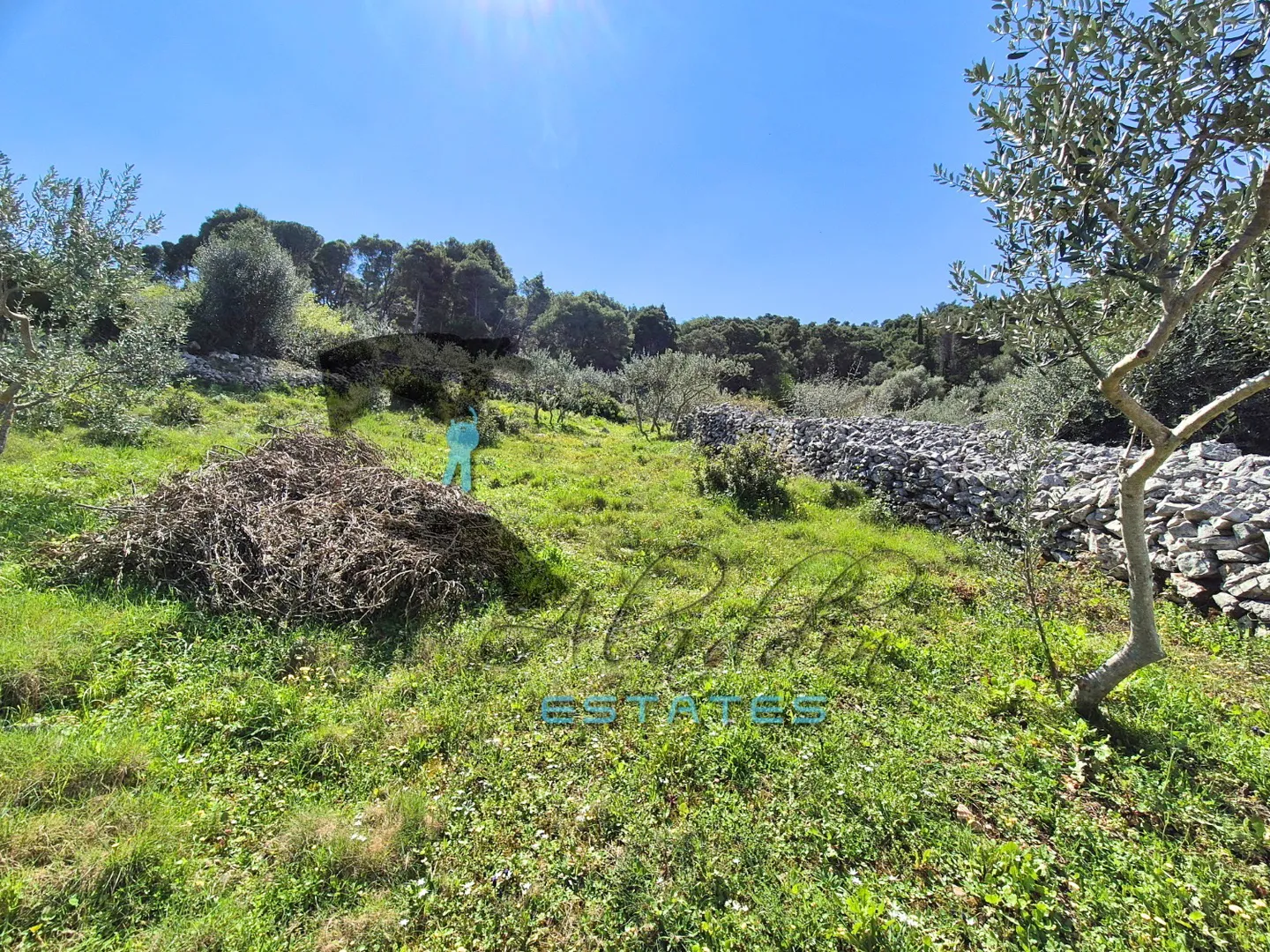 slatine, velika zemljišna čestica s prekrasnim pogledom, 3607 m2 - slika 3